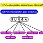 Cara Berkembang Biak Geragih Atau Stolon Contoh Tanaman