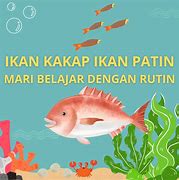 Ikan Sepat Ikan Tongkol Pantun